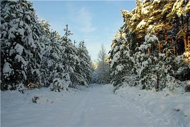 捉迷藏游戏《午夜捉鬼人》本月将举办B测周末